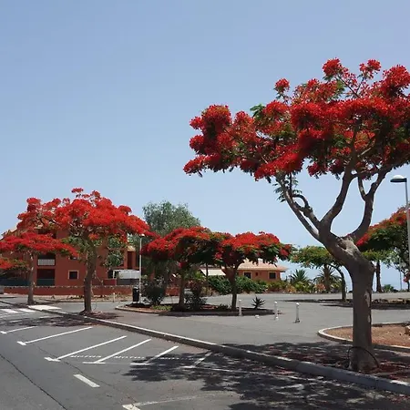 빌라 Adeje Villa Tenerife *